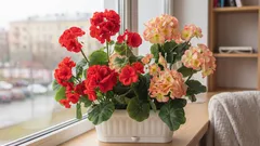 Mihin sijoittaa kasvit ikkunalaudan sijaan – ja miksi se on tärkeää