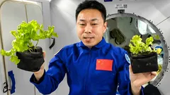 Avaruudessa on opittu tuottamaan hengitysilmaa: läpimurto Mars-tutkimuksessa